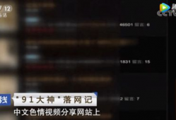 91大神视频在线观看